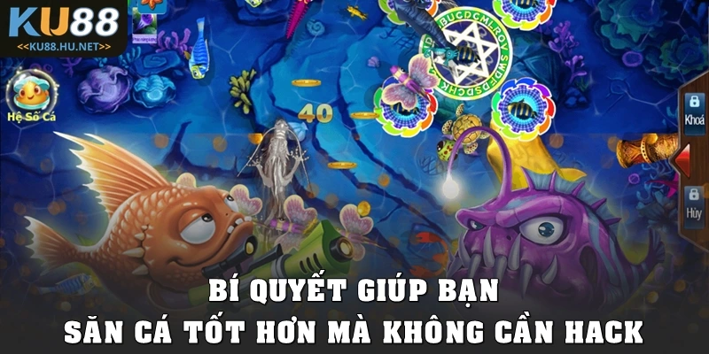 Bí quyết giúp bạn săn cá tốt hơn mà không cần hack