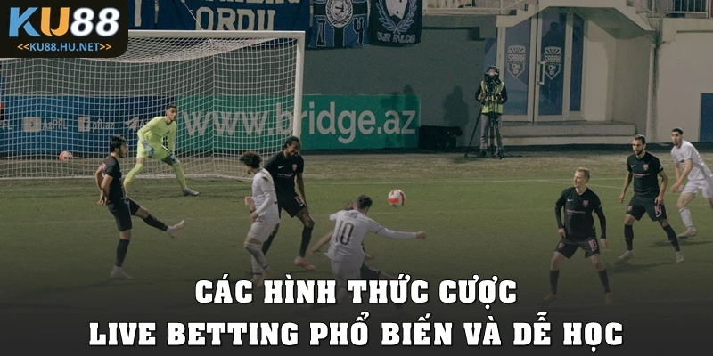 Các hình thức cược live betting phổ biến và dễ học