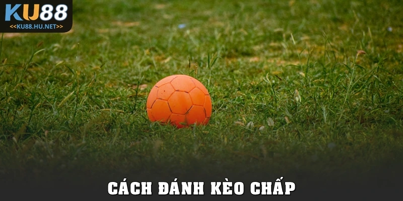 Cách Đánh Kèo Chấp: Kinh Nghiệm Vào Tiền Từ Cao Thủ KU88