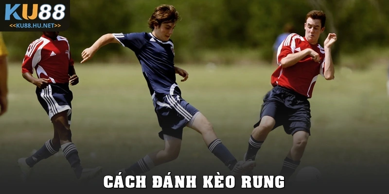 Cách Đánh Kèo Rung Thực Chiến Từ A Đến Z Cho Tân Thủ