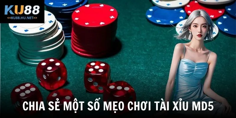 Chia sẻ một số mẹo chơi tài xỉu MD5