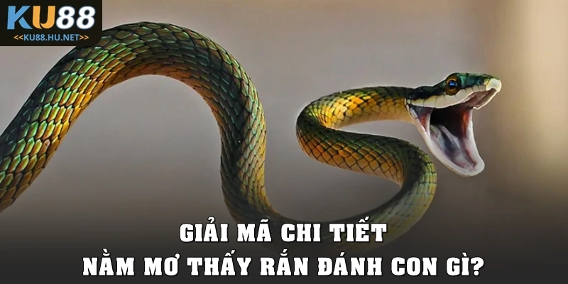Giải mã chi tiết nằm mơ thấy rắn đánh con gì?