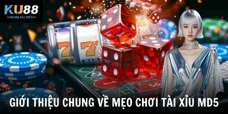 Giới thiệu chung về mẹo chơi tài xỉu MD5